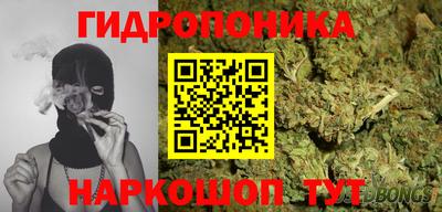 прущие грибы Лесосибирск