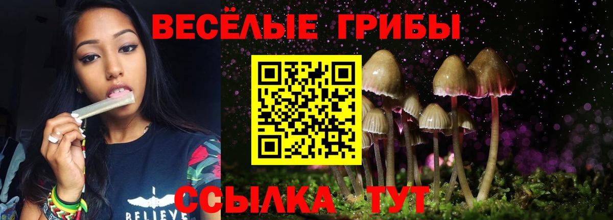 Галлюциногенные грибы прущие грибы  Вход с VPN  Ейск  Галлюциногенные грибы Cubensis 
