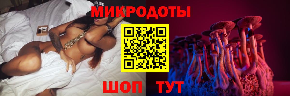 Галлюциногенные грибы Psilocybe Ейск
